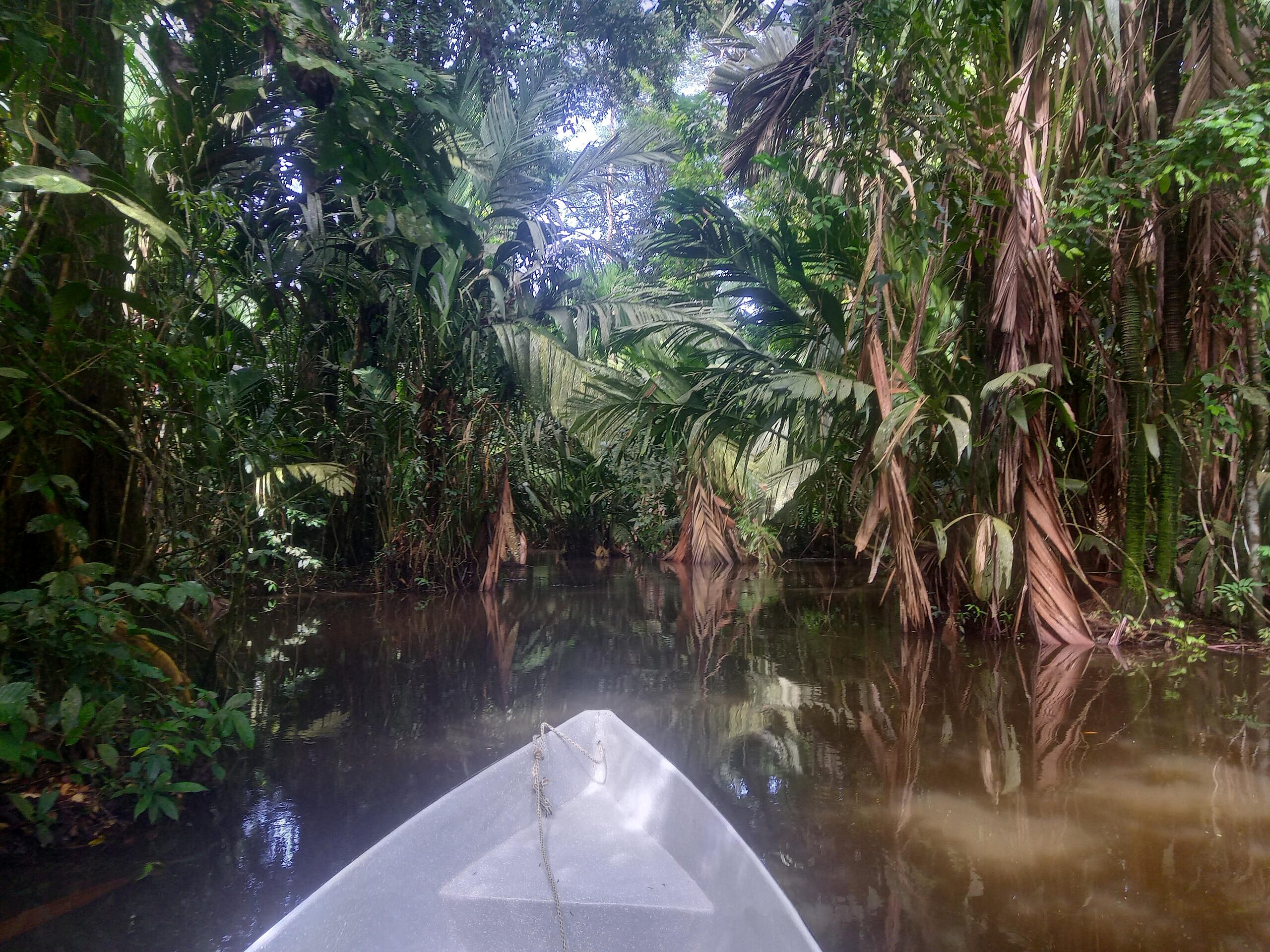 Tortuguero, Costa Rica